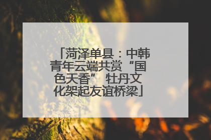 菏泽单县：中韩青年云端共赏“国色天香” 牡丹文化架起友谊桥梁